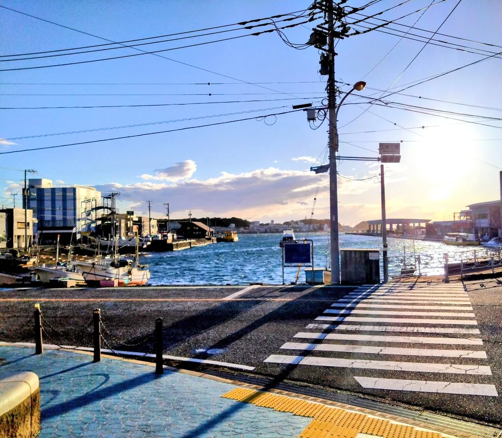 夕方の三崎港と停泊する漁船